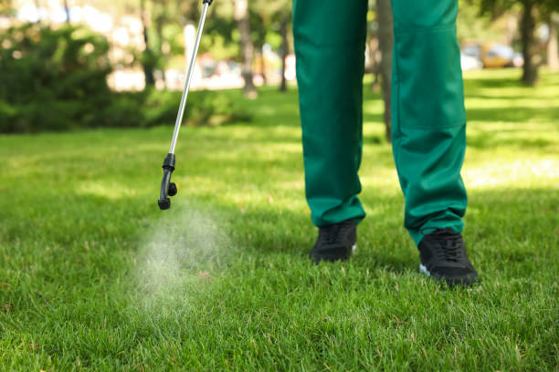 Pest Control for Restaurants in Schofield Barracks, HI