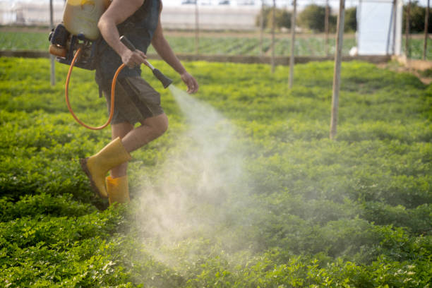 Best Exterminator Services  in Schofield Barracks, HI
