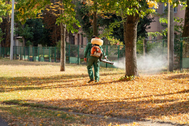 Wasp Removal Services in Schofield Barracks, HI